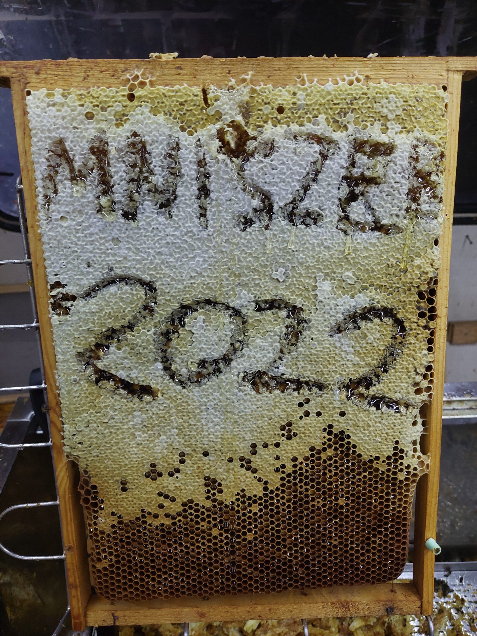 Pasieka w Dolinie Rospudy